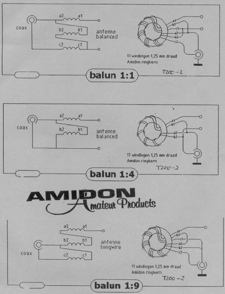 amidon[1].jpg